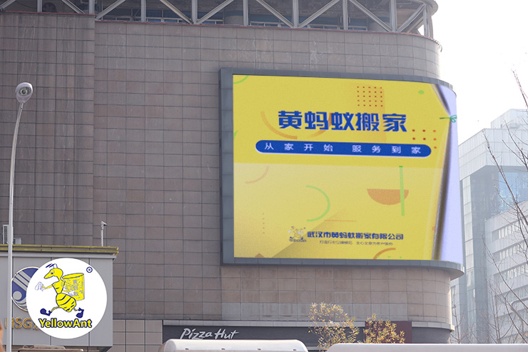 黄蚂蚁搬家重金打造品牌
