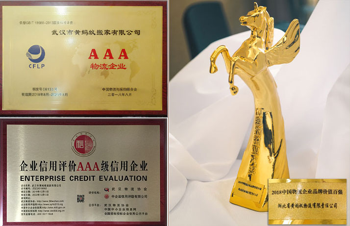 黄蚂蚁搬家重金打造品牌