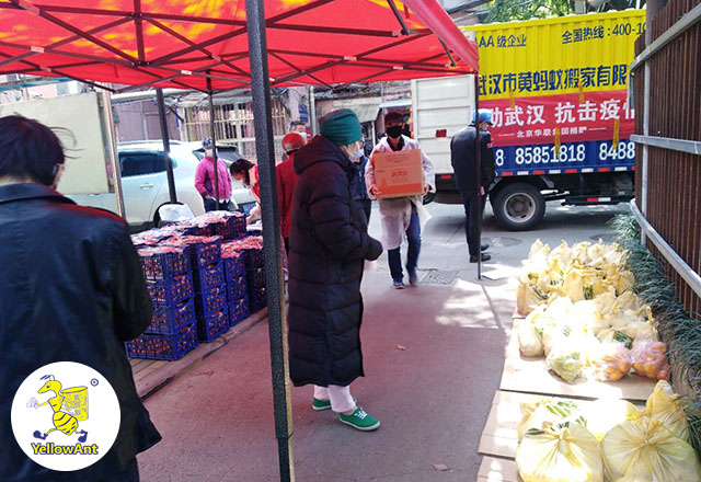 黄蚂蚁搬家助理抗击疫情
