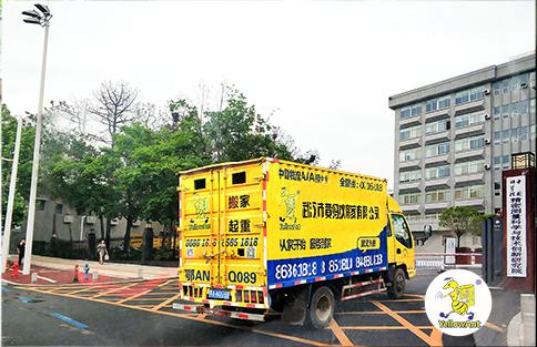 黄蚂蚁搬家 黄蚂蚁搬家