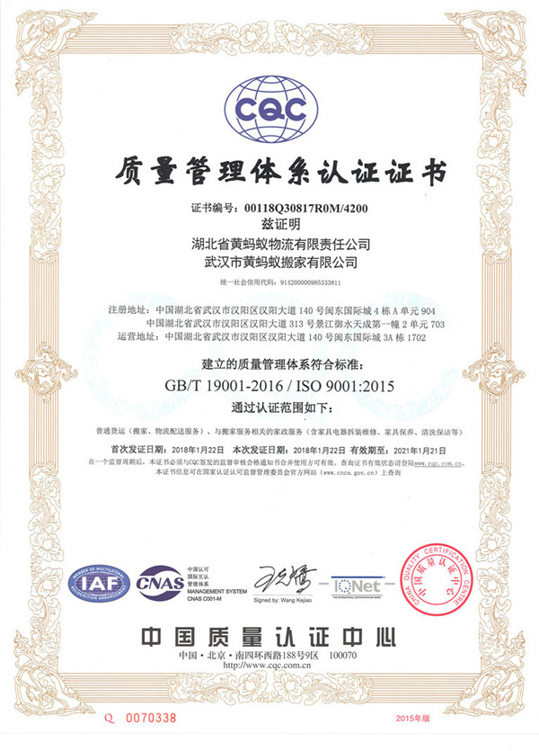 黄蚂蚁ISO 9001 质量管理证书